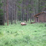 img_1927.jpg
