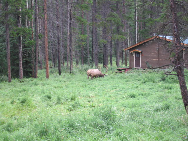 img_1927.jpg