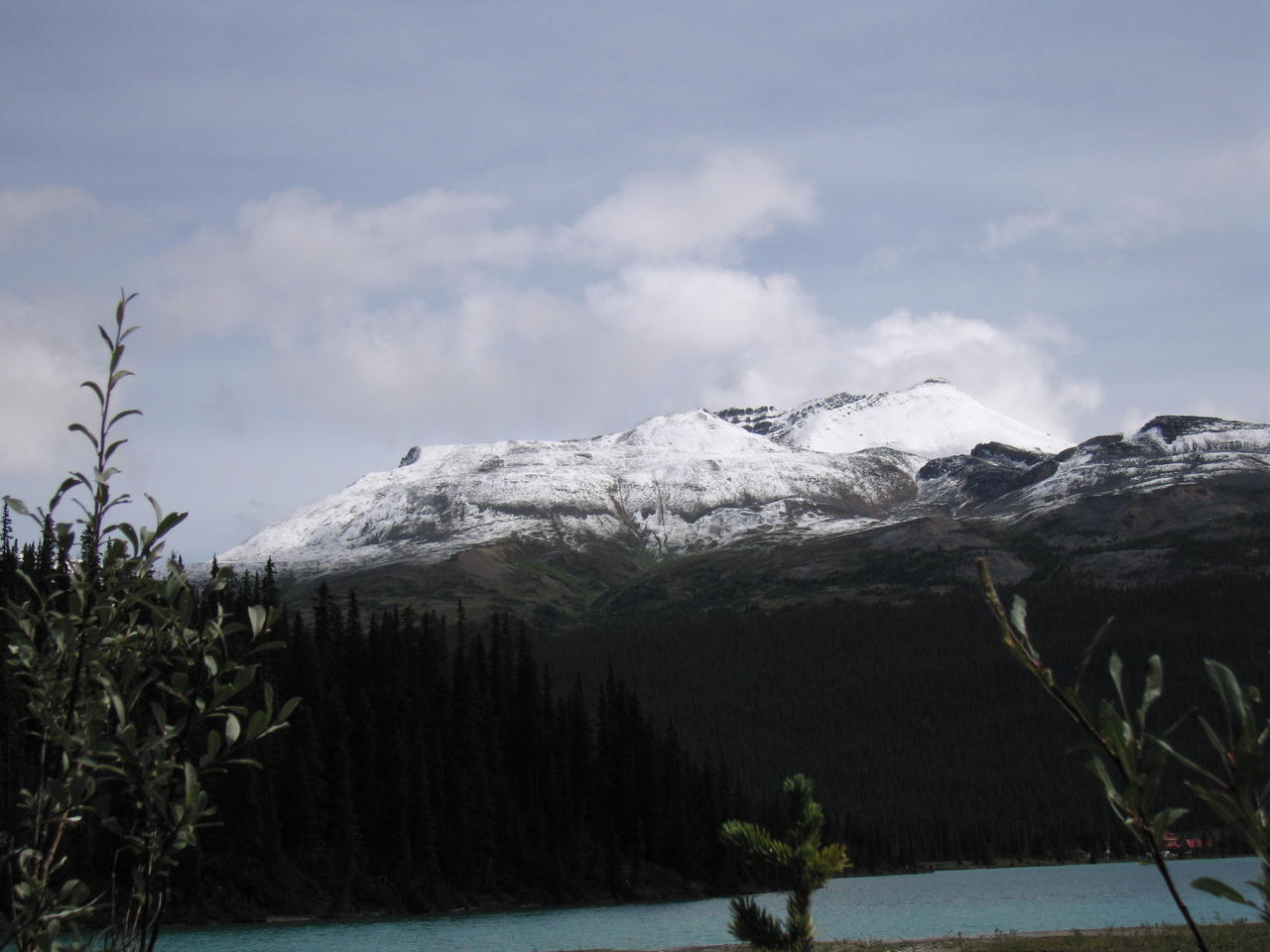 img_1942.jpg