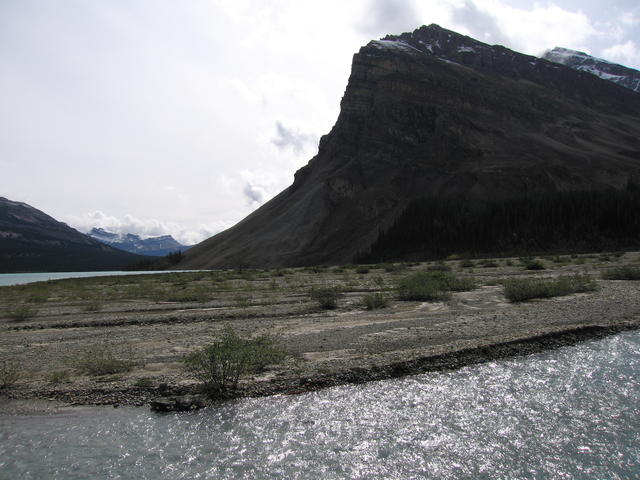 img_1943.jpg