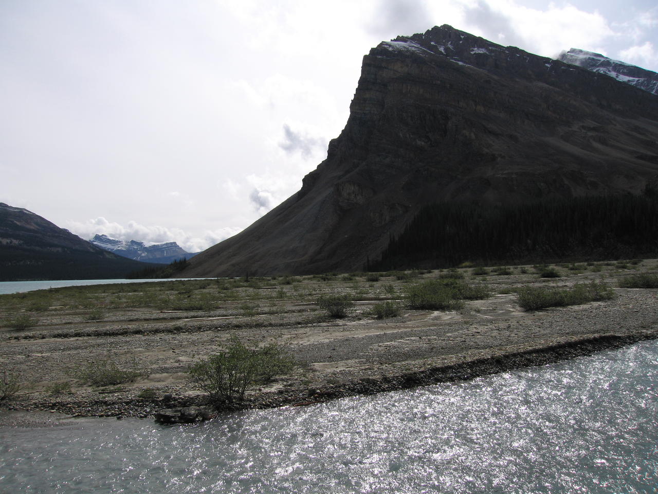 img_1943.jpg