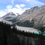 img_1951.jpg