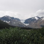 img_1972.jpg