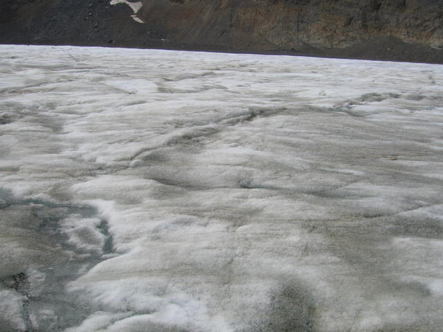 img_1981.jpg