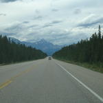 img_2005.jpg