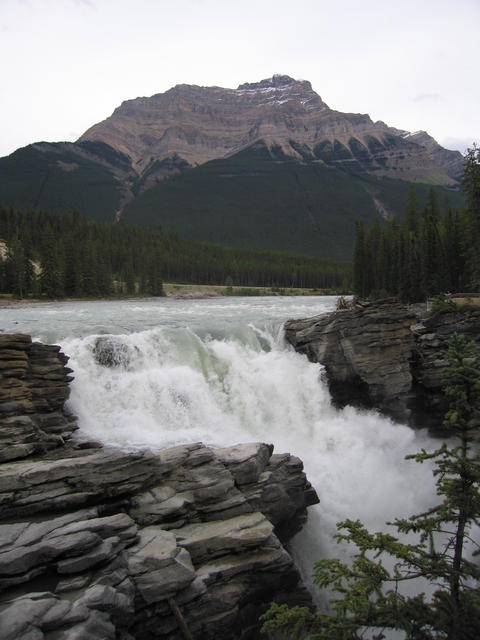 img_2007.jpg