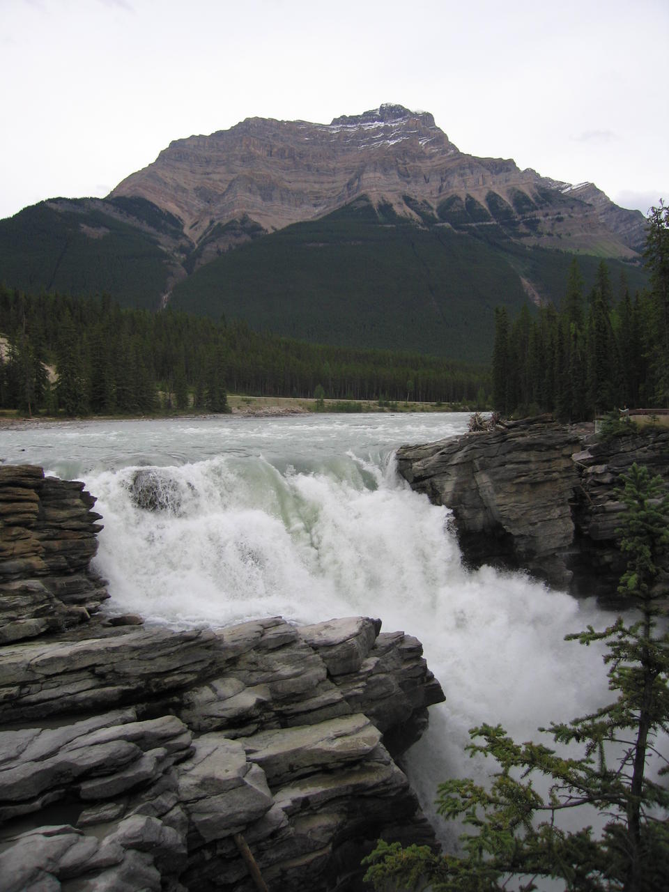 img_2007.jpg