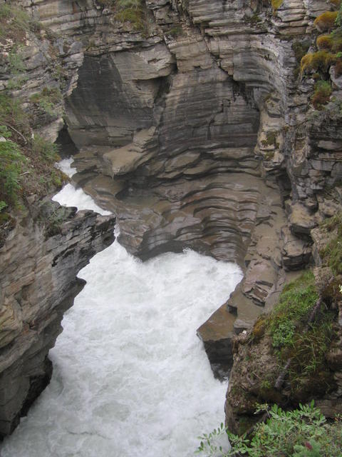 img_2008.jpg