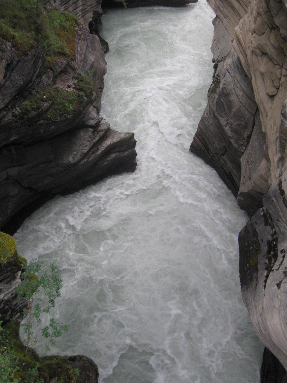 img_2009.jpg