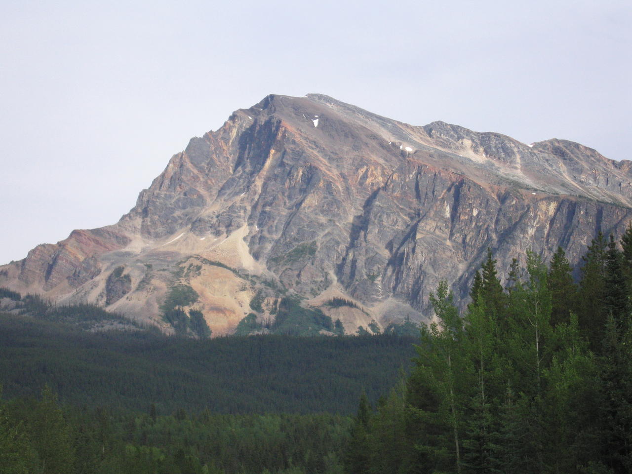 img_2013.jpg