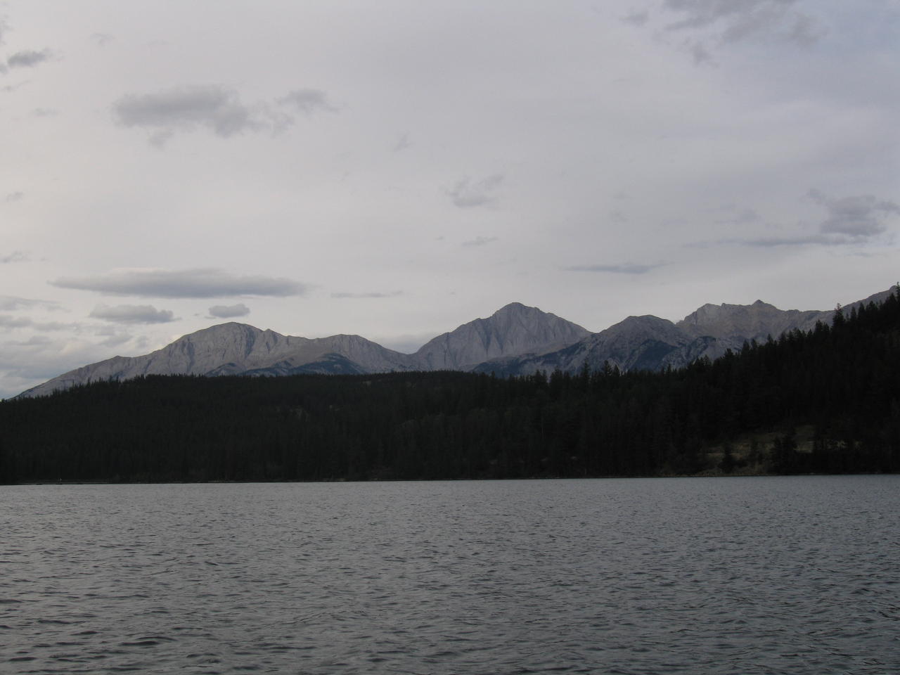 img_2015.jpg