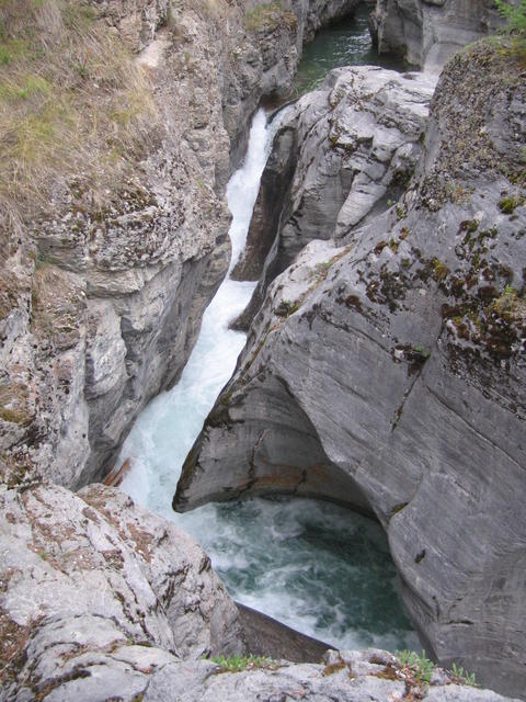 img_2020.jpg