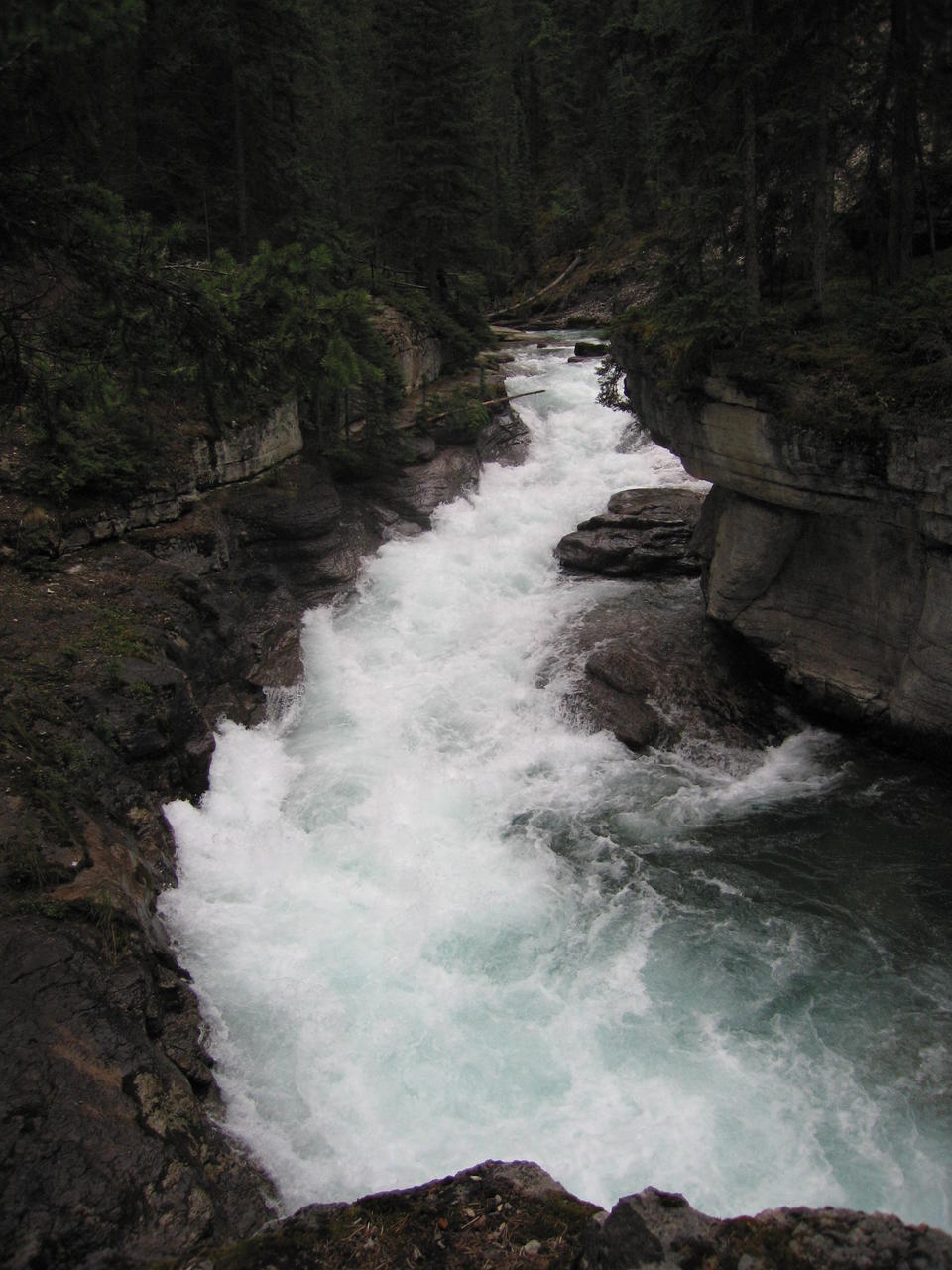 img_2026.jpg