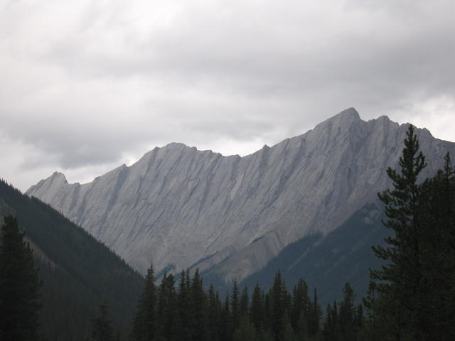 img_2030.jpg