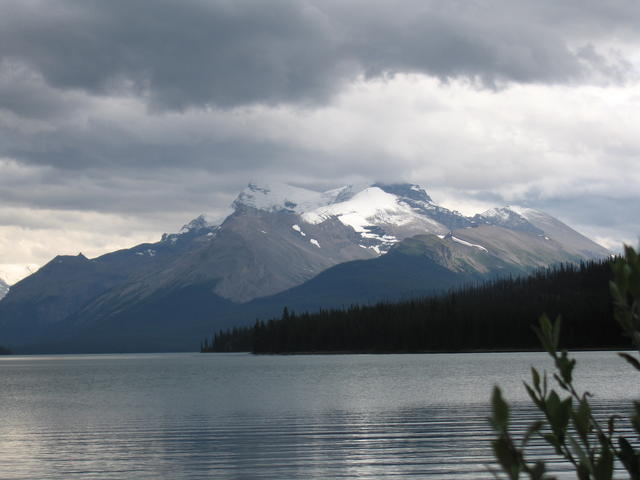img_2040.jpg
