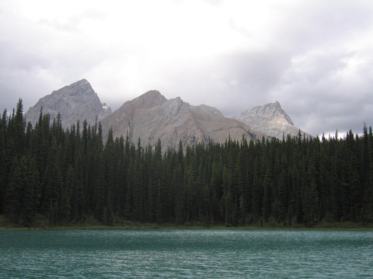 img_2048.jpg