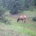 img_2062.jpg