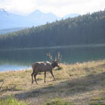 img_2064.jpg