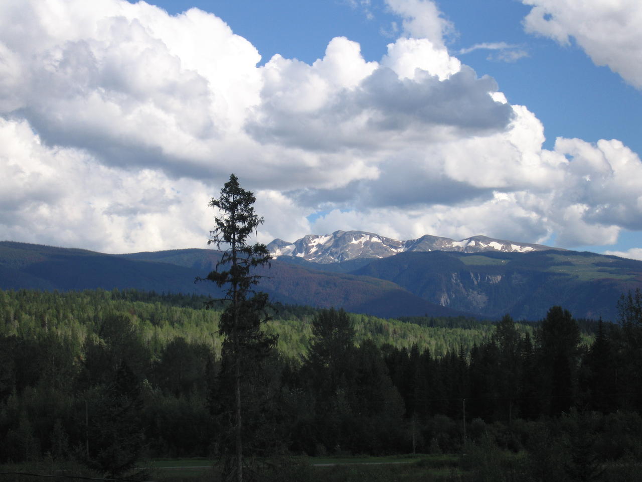 img_2074.jpg