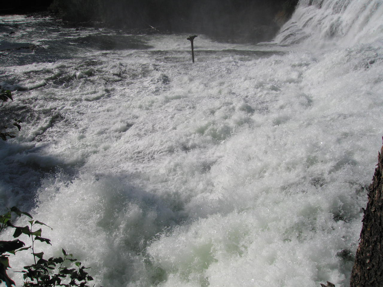 img_2075.jpg