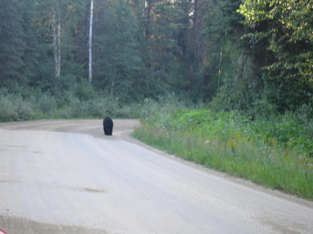 img_2090.jpg