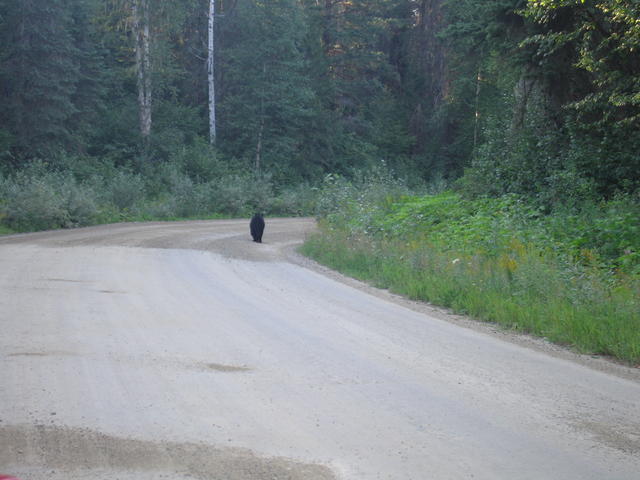 img_2091.jpg