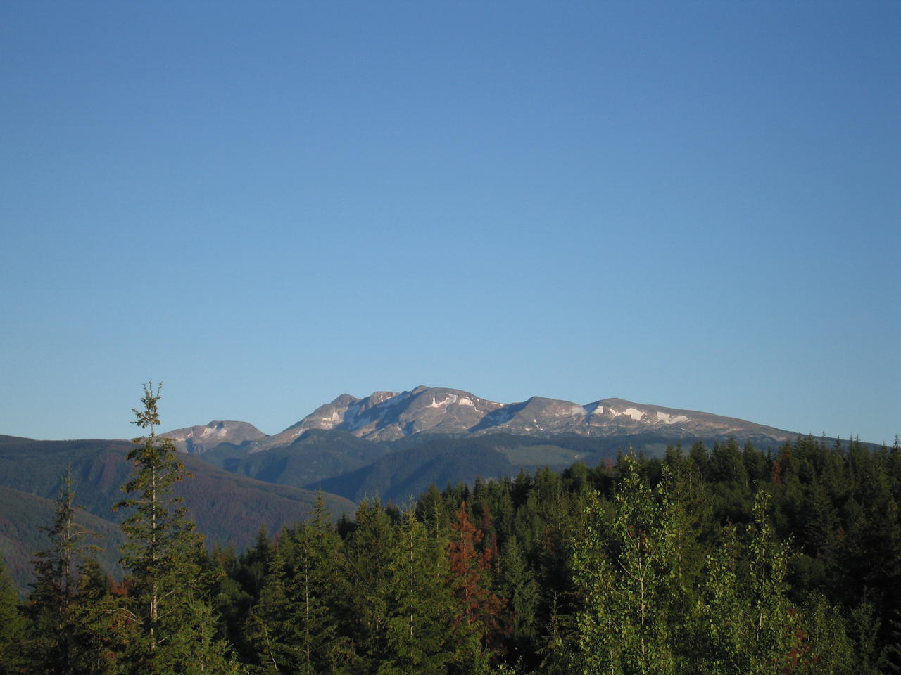 img_2092.jpg