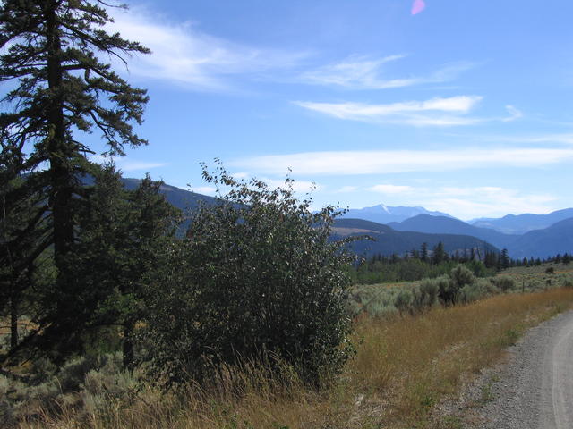img_2099.jpg