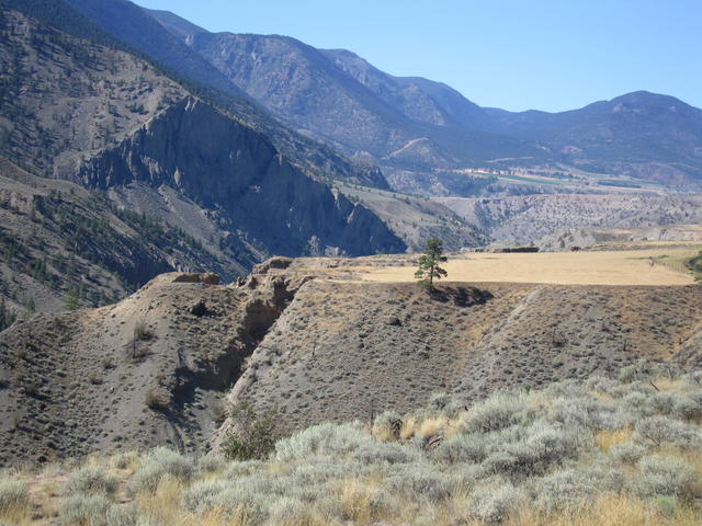 img_2102.jpg