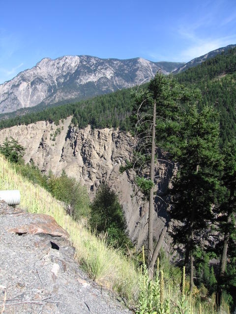 img_2104.jpg