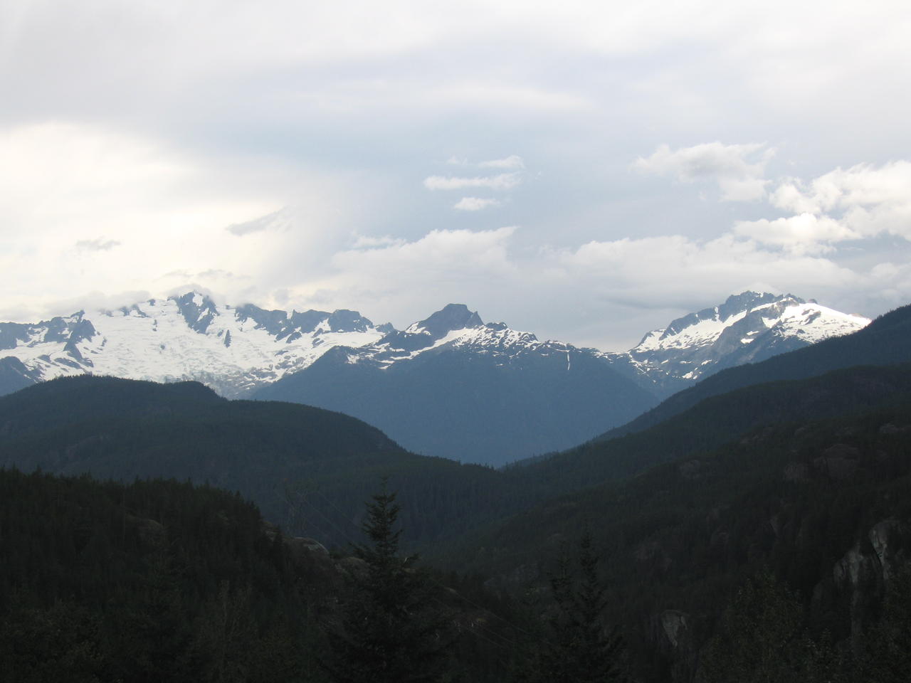 img_2110.jpg