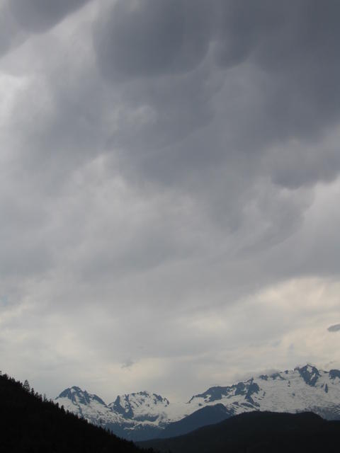 img_2111.jpg