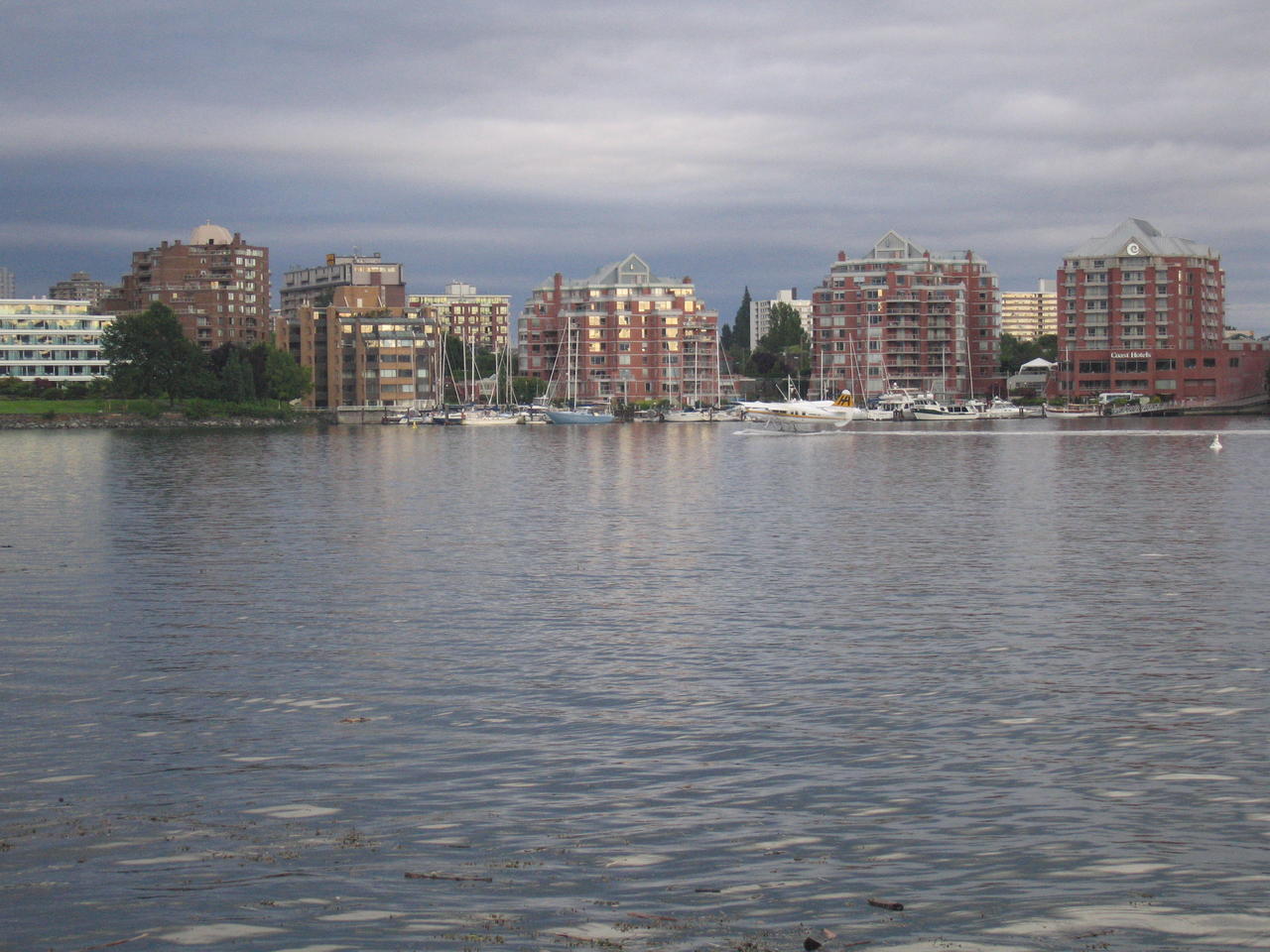 img_2121.jpg