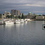 img_2126.jpg