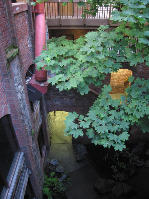 img_2133.jpg