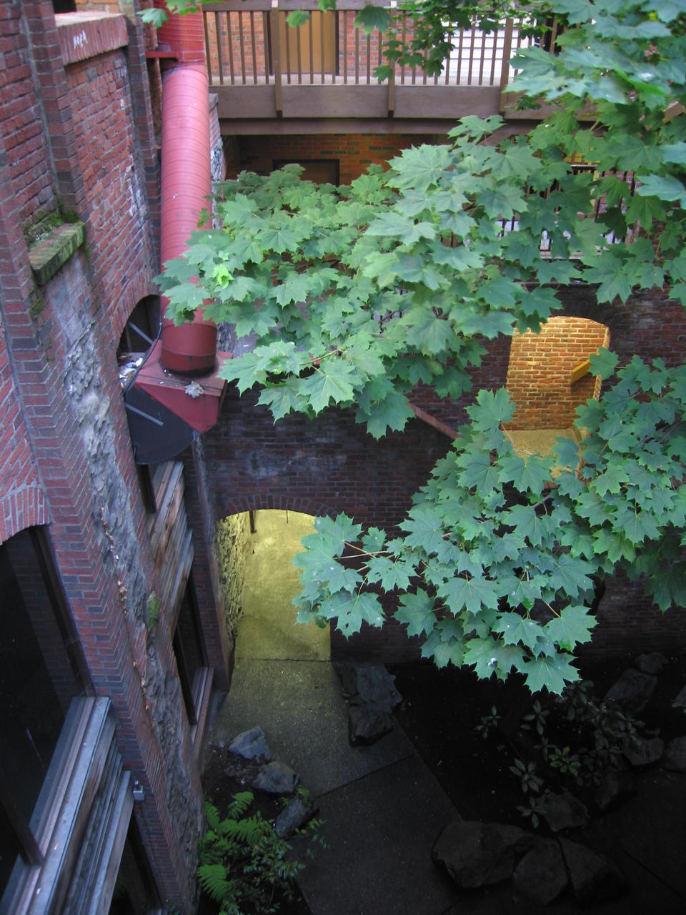 img_2133.jpg