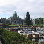 img_2151.jpg