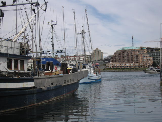 img_2156.jpg