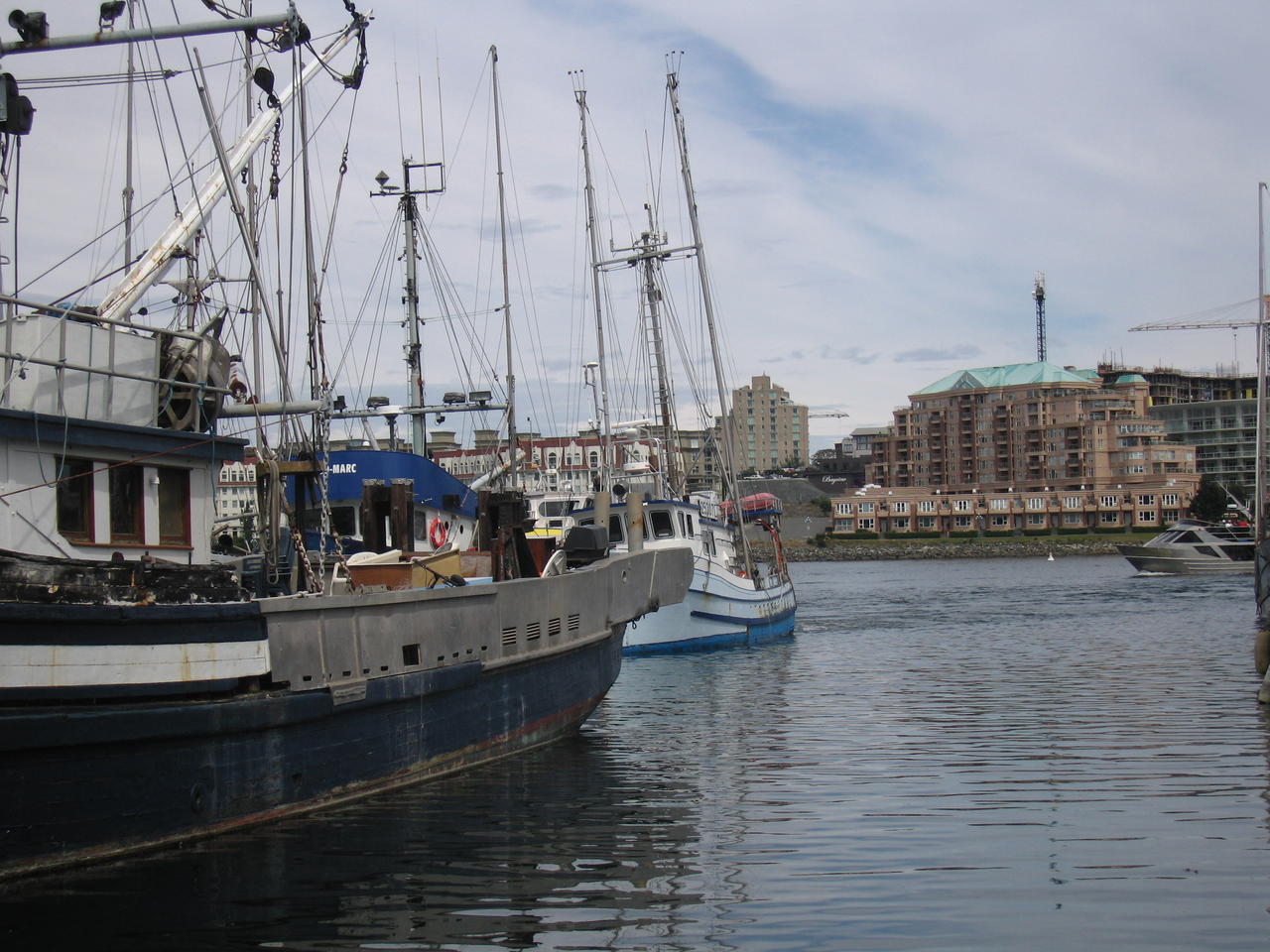 img_2156.jpg