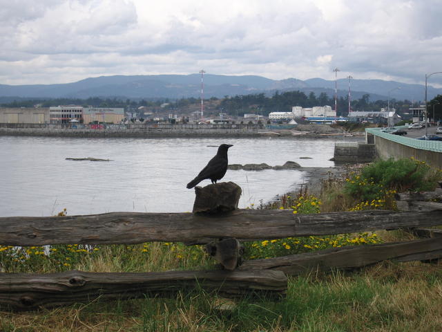 img_2169.jpg