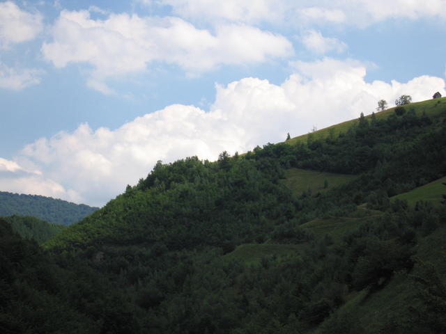 img_0183.jpg