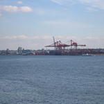 img_2239.jpg