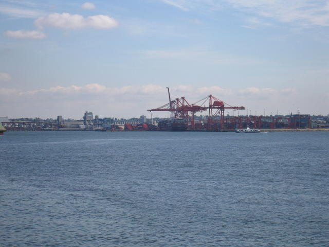img_2239.jpg