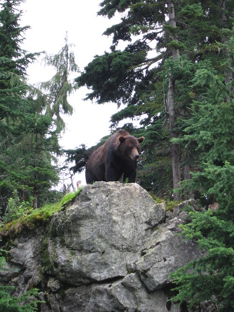 img_2266.jpg