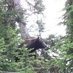 img_2267.jpg