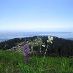 img_2270.jpg