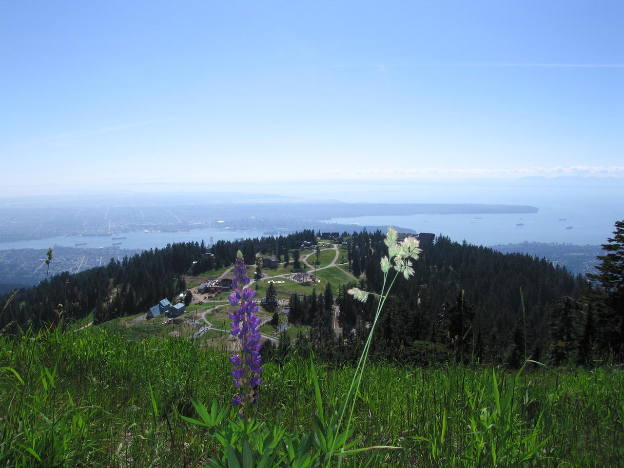 img_2270.jpg