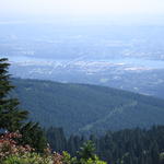 img_2271.jpg
