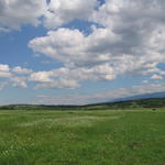 sta_0131.jpg