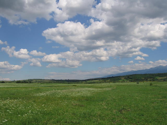 sta_0131.jpg